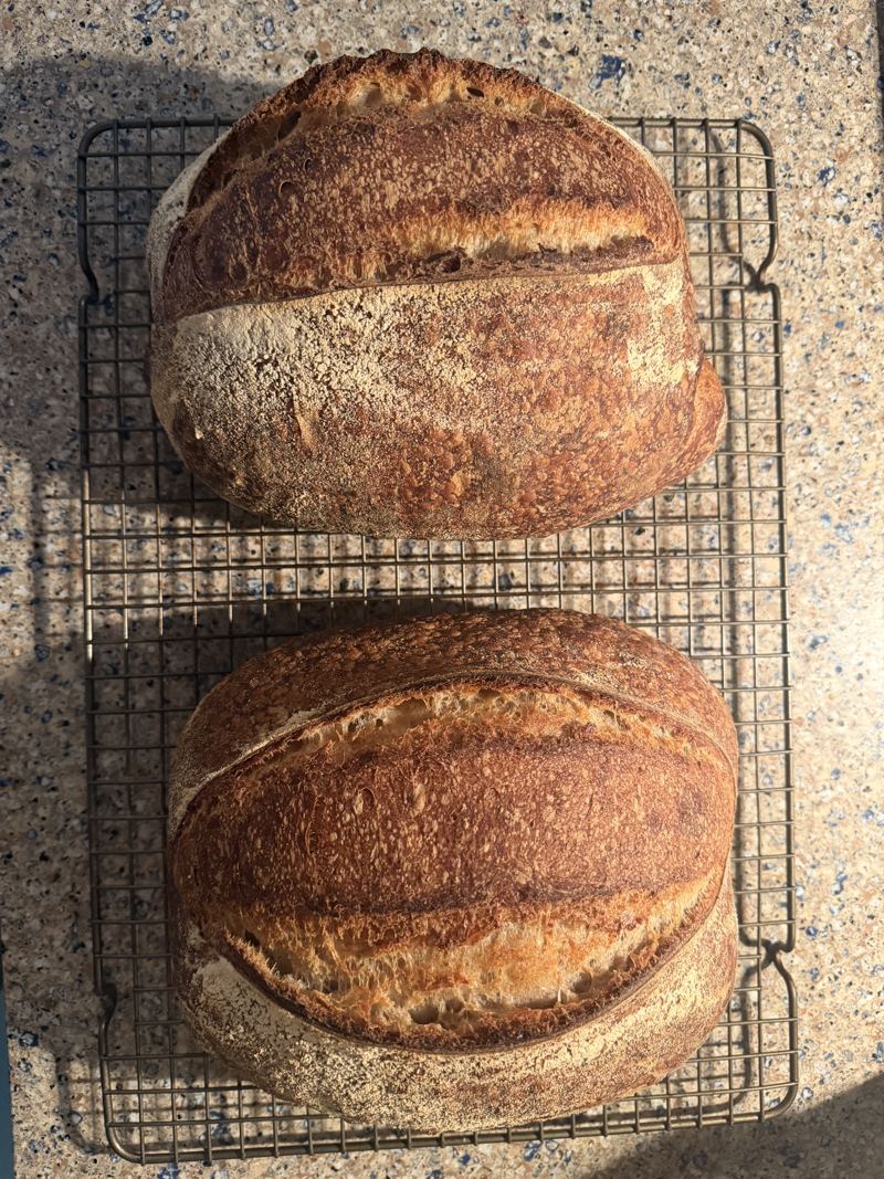 Two scored sourdough loaves with deep brown crusts, cooling on a wire rack